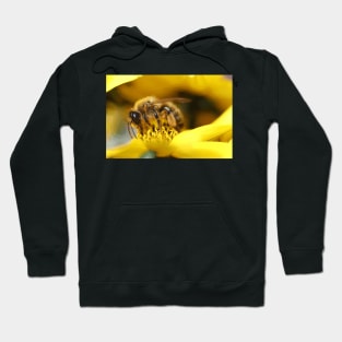 Bee in the wild Hoodie